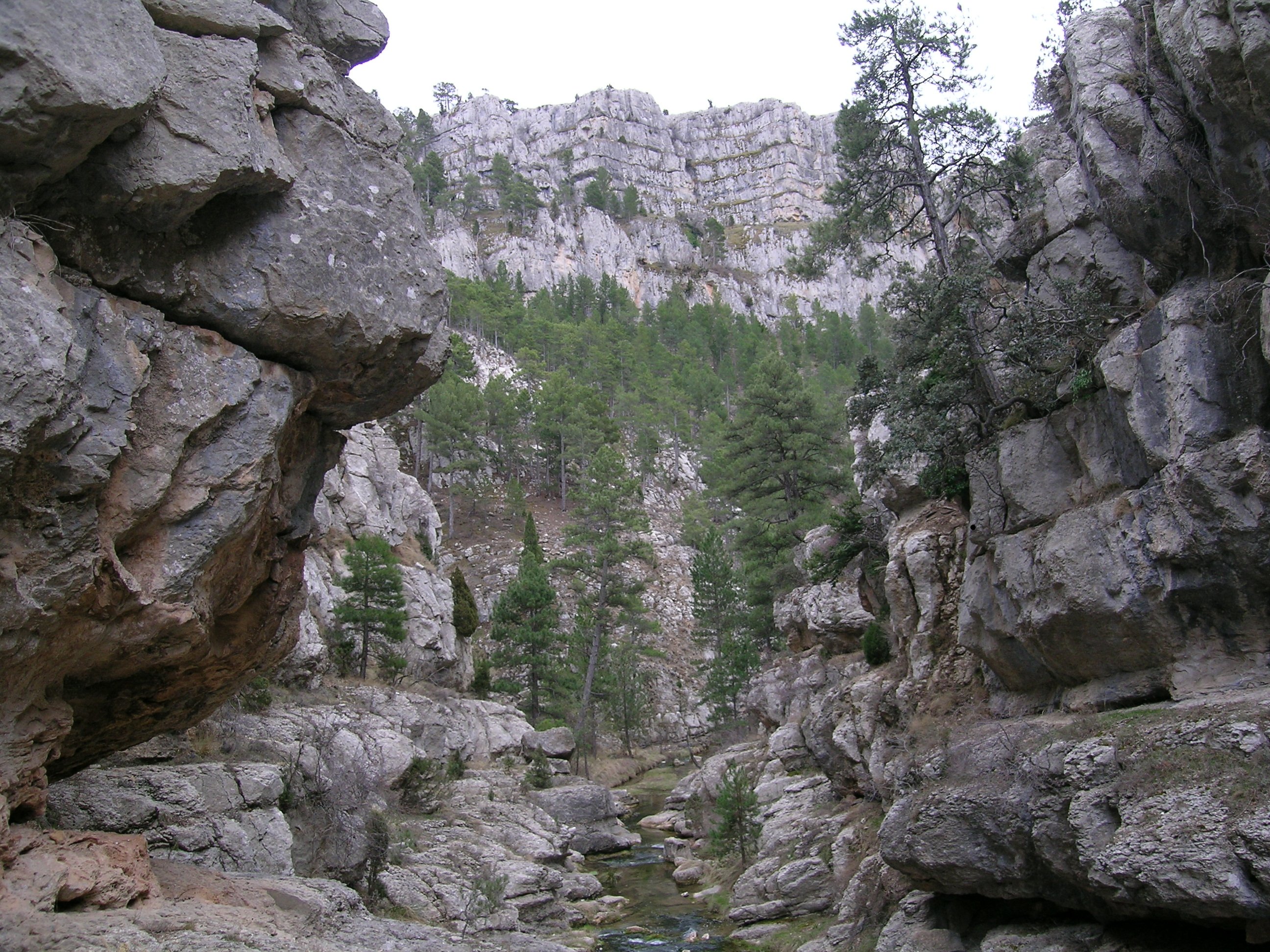 images/CIM/2009/olmedilla026.jpg