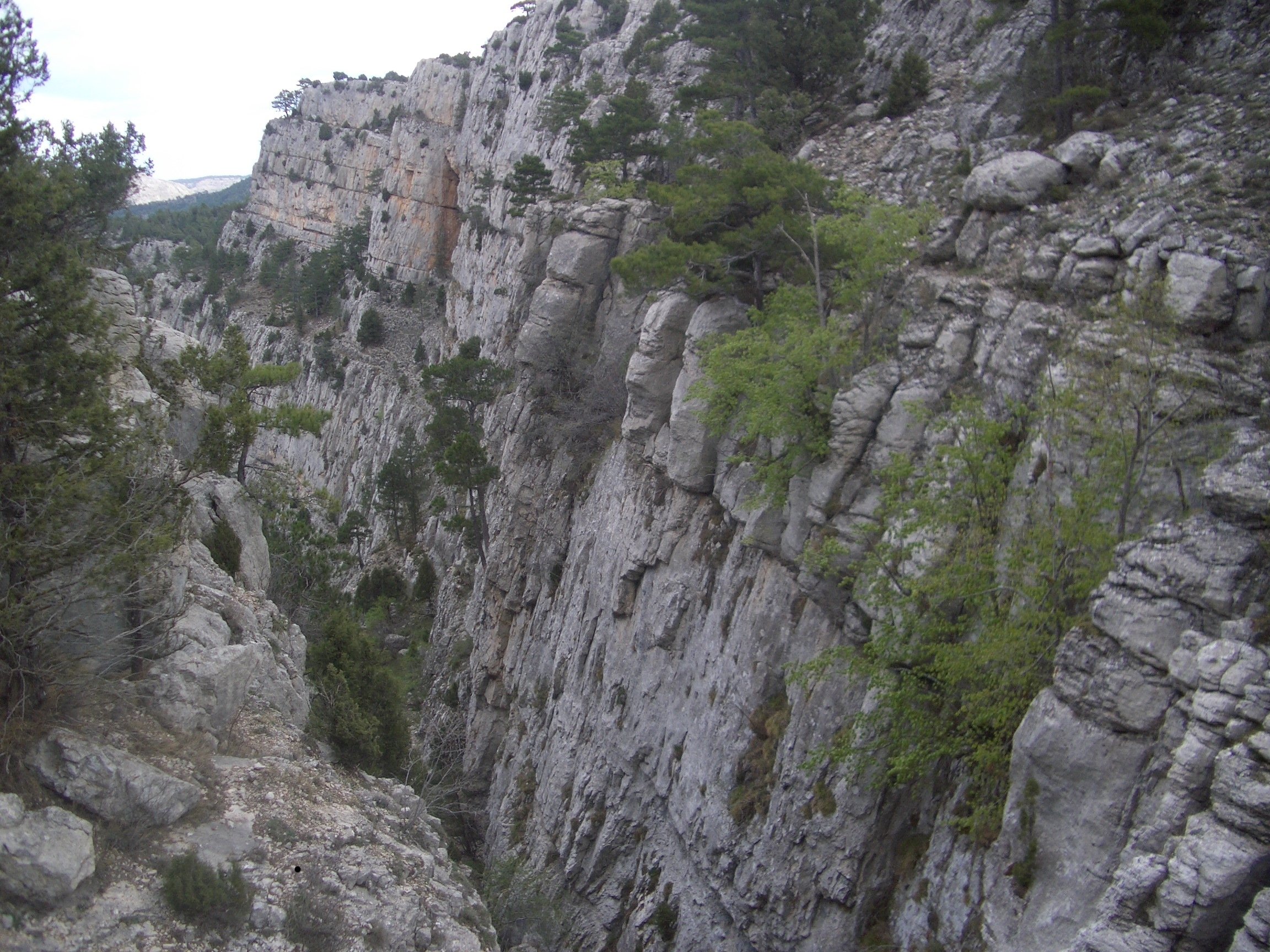 images/CIM/2009/olmedilla8.jpg
