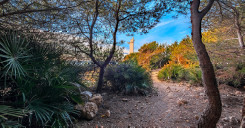 Serra d'Irta
