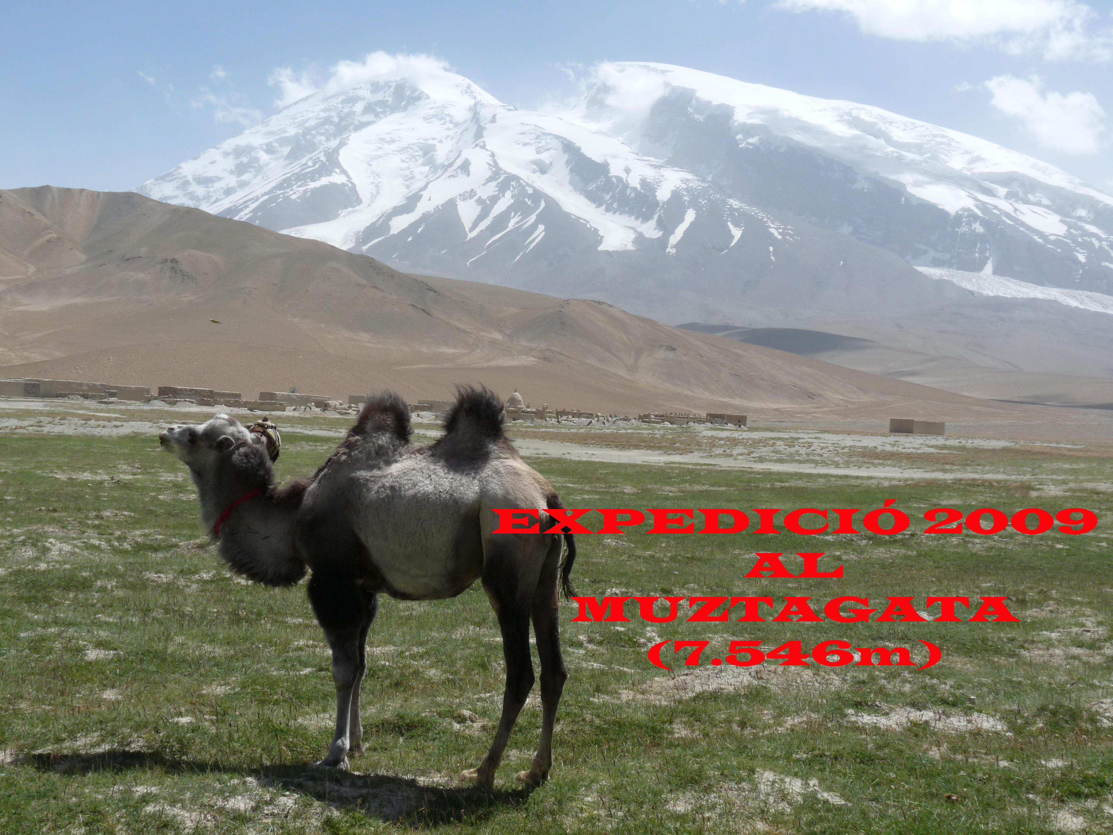images/CIM/2009/muztagata.jpg