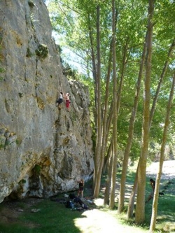 images/CIM/2010/lagotera.jpg