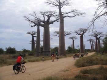 Madagascar-DSC02737_red.jpg