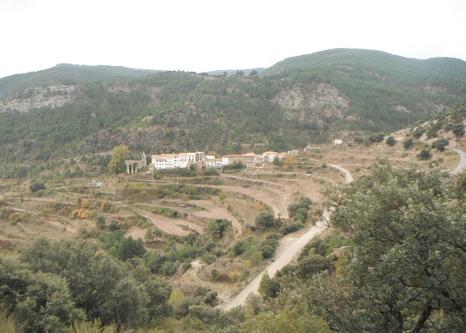 images/CIM/2012/Catelvispal1.jpg