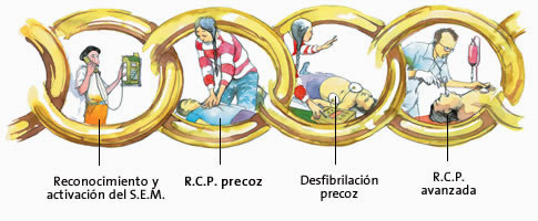 images/CIM/2012/RCP-cadena.jpg