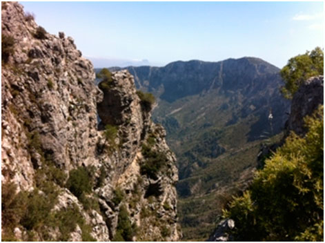 images/CIM/2013/safor1.jpg